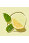 Love Nature Shampoo with Organic Lemon and Mint Extract for Oily Hair 41354 - 3