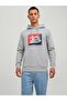 Logo Printed Hooded Sweatshirt Gray