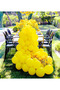 10 Yellow Color Balloons – Helium Compatible, Quality and Durable - 3