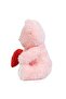 Plush Teddy Bear in a Premium Box with Heart (I Love You) Written - 5