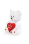 Special 160 Premium Box with a Cute Plush Teddy Bear with a Heart Written on It (I Love You) for Your Loved One - 4