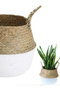 Foldable Wicker Basket Flower Pot Natural-White 24X28Cm - 4