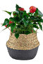 Foldable Wicker Basket Flower Pot Natural-Anthracite