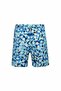 Sea Shorts Boy's Baby Ferb S215 Blue - 4