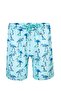 Men's Sea Pool Shorts Patterned Percy S250 Mint