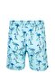 Men's Sea Pool Shorts Patterned Percy S250 Mint - 2