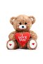 Romantic 145 Valentine Gift: Plush Teddy Bear in a Premium Box with Heart (I Love You) Written - 5