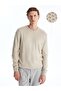 Southblue Crew Neck Long Sleeve Men's Knitwear Sweater (W4)