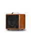 AT4 40 Watt Portable Amfi - 2