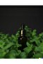 Peppermint Essential Oil (Medical) 20ml - 4