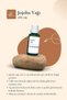 Jojoba Oil 30 ml - Skin and Hair Compatible Moisturizing Care Oil - 2