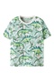 Nmmvalther ss nreg top