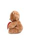 Heart Cinnamon Color Plush Teddy Bear |   Premium Gift Box - 3