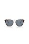 Po3186S 1081R5 53 Men's Sunglasses - 5