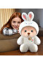 Gift in Dreams: Hooded Plush Pufi, Perfect for Hugging