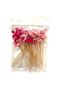 Long Presentation Toothpick - Flamingo - 3