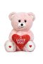 Plush Teddy Bear in a Premium Box with Heart (I Love You) Written - 4
