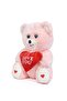 Plush Teddy Bear in a Premium Box with Heart (I Love You) Written - 3