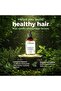 Rosemary Complete Repair Shampoo With Mint & Rosemary Sulfate-free 500ml - 5