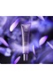 Royal Velvet Firming Eye Cream Against Under-Eye Puffiness and Dark Circles - 4