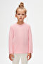 Pink Basic Unisex Children's Seasonal Crew Neck Long Sleeve T-Shirt - 2