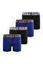 Boxer Basic - 5
