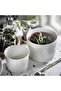 SESAMFRÖN Plant pot, in/outdoor off-white, 9 cm - 2