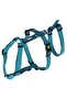 Anti-Escape Dog Collar Petrol Green 72 cm - 103 Cm, L