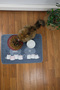 Cat Dog Feeding Food and Water Mat with Pet Figure Easy to Clean Absorbent Mat 50*70 cm