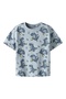 Nmmvalther ss nreg top