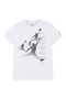 Jdb aj5 jumpman reflect ss tee