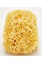 Beter Natural Sponge Marina 1 Pieces - 4