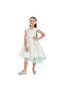 Mint Green/Gold Jacquard High Low Tail Dress With Tulle Mesh - 2