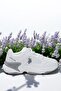 5Fx Daily Women's Sneaker Shoes