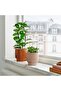 HONUNGSPALM Plant pot, in/outdoor/beige, 9 cm - 2