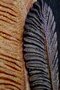 Kimono Authentic Style Feather Stone Pattern Black Kaftan with Belt Detail - 2