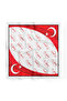 Pack of 10 K.Atatürk Signed Turkish Flag Pattern Bandana/Scarf - 5
