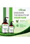Rosemary Mint Complete Repair Leave-in Conditioner 500ml Rosemary Extract For Hydration - 2