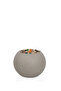 Green corn tree with a round plastic container - 3