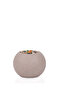 Green corn tree with a round plastic container - 3