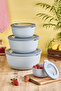 Elegance Series 4-Piece Storage Container Set with Leakproof Lid Microwave & Refrigerator Compatible