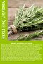 Rosemary Hair Tonic 200 ml Fast and Healthy Hair Growth Effective - 7