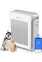 Smart HEPA Air Purifier Vital 100S (Covers 52 m², H13 HEPA, Pet Mode, 23 dB)