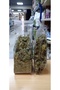 Gimneya Leaf Gurmar 30 g - 6