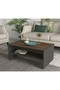Chester طاولة قهوة موديل - 3