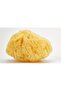 Beter Natural Sponge Marina 1 Pieces - 7