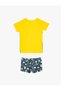 Batman Swimsuit Set Swim Shorts and T-Shirt 2-Piece Licensed - 2