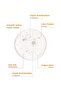 C Vitamini Serum - 6