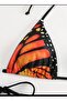 Red-Black Butterfly Wing Patterned Two Piece Printed Bikini Swimsuit - 5