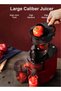 Slow Juicer Machine Cold Pressed Juicers, High Juice Yield for Fruits and Vegetables-RED - 6
